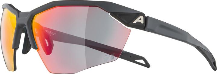 Produktbild ALPINA SPORTS Twist Six HR QV (Grey Matt, Rainbow)