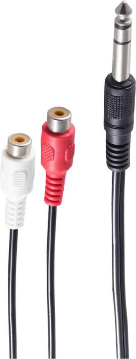 Shiverpeaks BS30461 Câble audio 0,2 m 6.35mm 2 x RCA Noir (0.20 m)