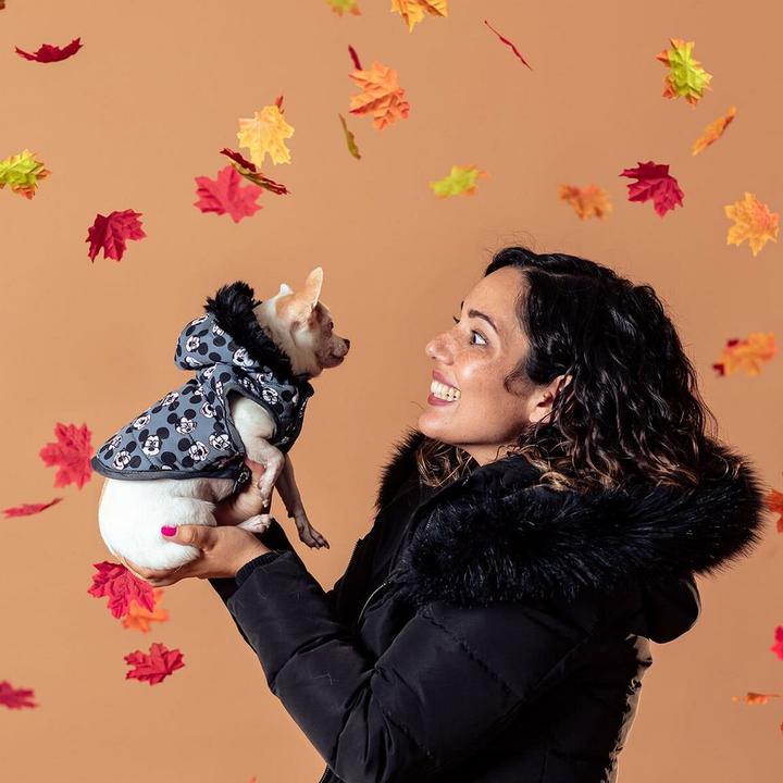 Immagine prodotto Mickey Mouse Cappotto per cani grigio (XXS, Cappotto per cani)