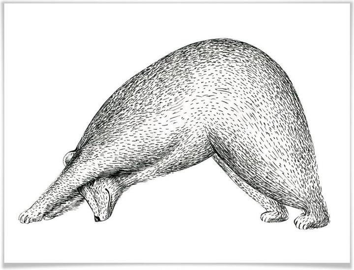 Actual product image Trenddeko Yoga bear 01 (80 x 60 cm)