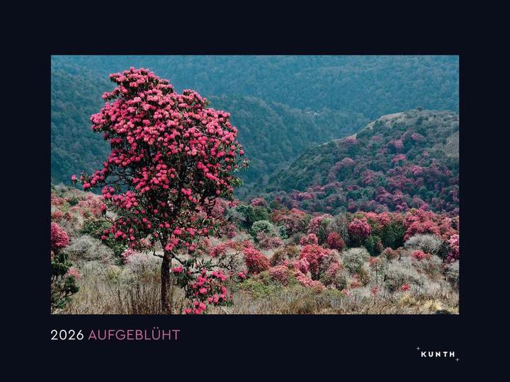 Actual product image Aufgeblüht - Wandkalender 2026 (60 x 45 cm, Hardcover, German)
