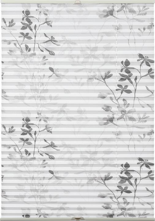 Gardinia Bella (50 x 130 cm)