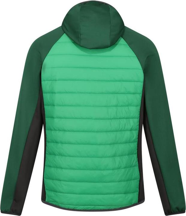 Actual product image Regatta Andreson VIII Hybrid (S)