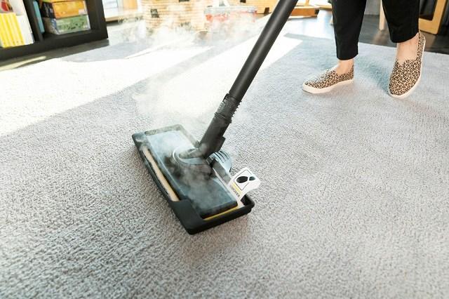 Actual product image Kärcher SC 3 EasyFix Plus 1.513-661.0 (3.50 bar, 1900 W)
