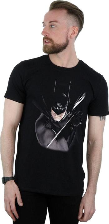 Actual product image Batman Mens Alex Ross Cotton T-Shirt (S)