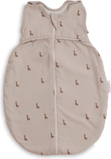 Safari