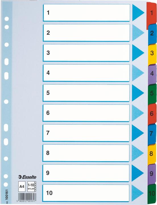 Produktbild Esselte Karton-Register Mylar, verschiedene Ausführungen, einzeln