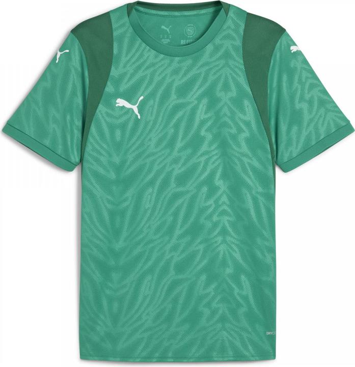 Image du produit Puma teamCUP Jersey (XL)