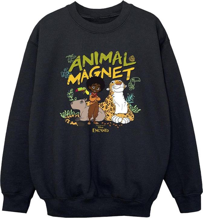 Produktbild Disney Encanto Animal Magnet Sweatshirt Jungen (152, 158)
