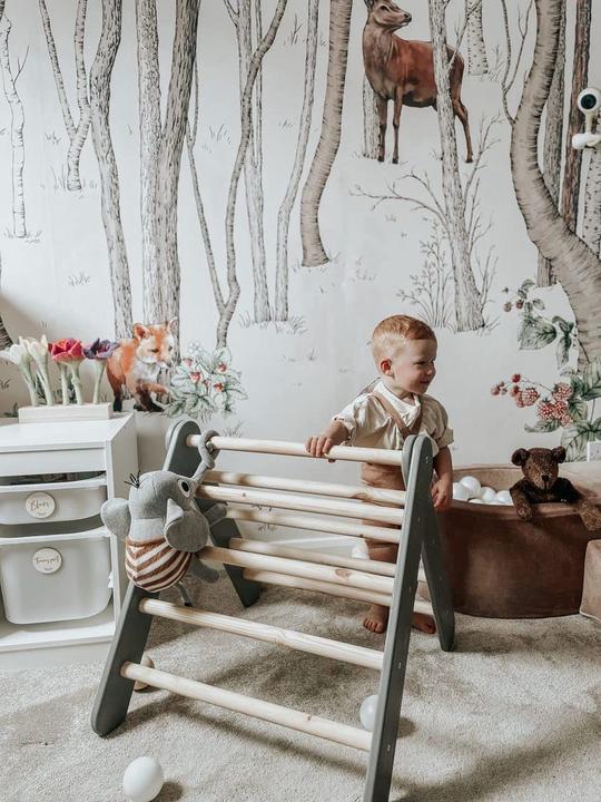 Actual product image Meowbaby Climbing frame for children
