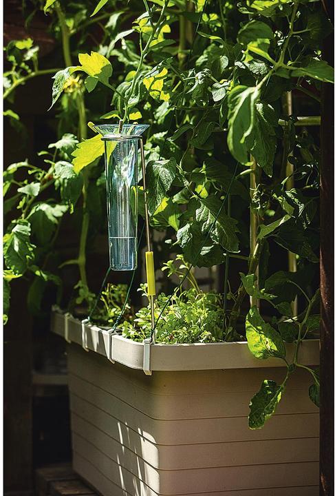 Immagine prodotto Pluviometro con asta in acciaio inox