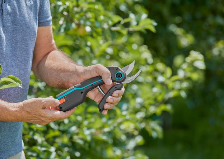 Actual product image Gardena AssistCut