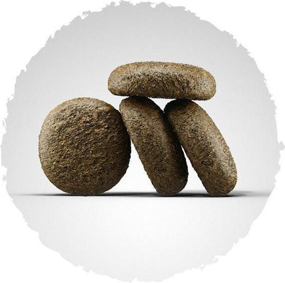 Image du produit Josera Saumon et pomme de terre (Senior, Adulte, 1 pcs, 12500 g)