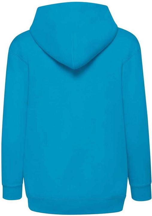 Actual product image Fruit of the Loom Childrens/Kids Hooded Sweatshirt (140, 146)