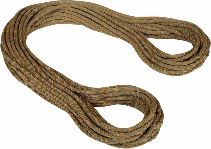 Produktbild Mammut 9.9 Gym Workhorse Classic Kletterseil (40 m)