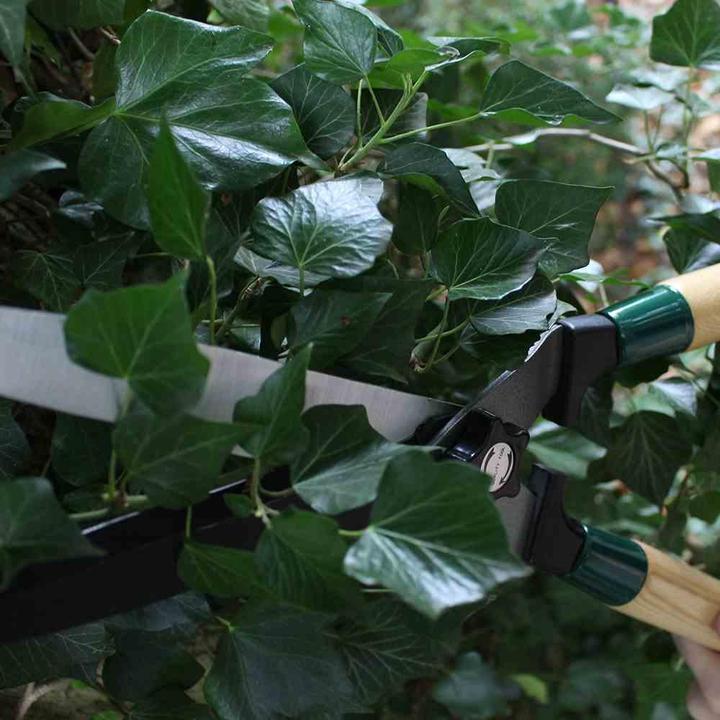 Image du produit Siena Garden Cisaille à haies avec lame ondulée (Taille-haie)
