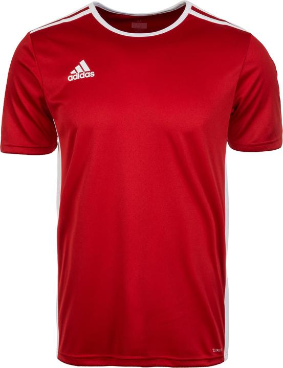 Produktbild adidas Entrada 18 Fussball (S)