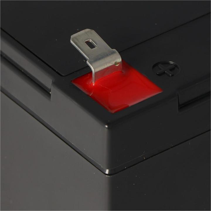 Actual product image AccuCell Steripower battery disinfector (12V)