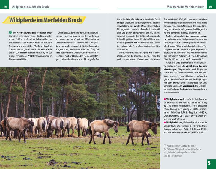 Immagine prodotto Reiseführer Münsterland (Tedesco, Hans Otzen, Barbara Otzen, 2021)