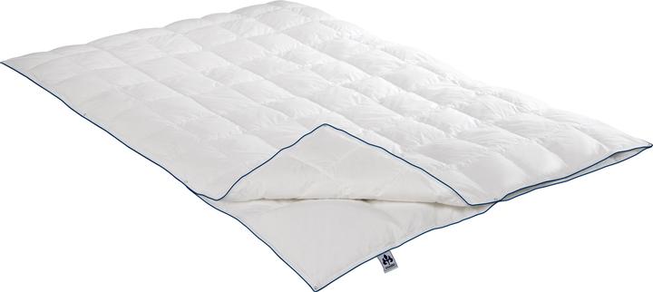 Immagine prodotto Irisette Piumino 4 stagioni Luna (1050 g, 155 x 200 cm)