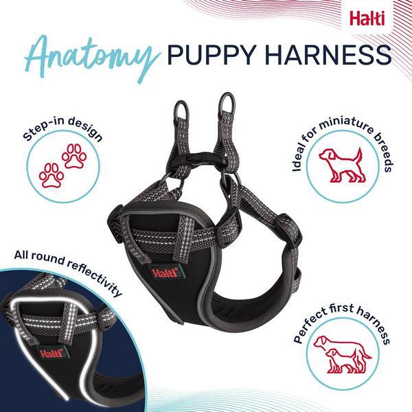 Immagine prodotto Company of Animals Pettorina per cuccioli Halti Anatomy XXS (XXS, Cane)