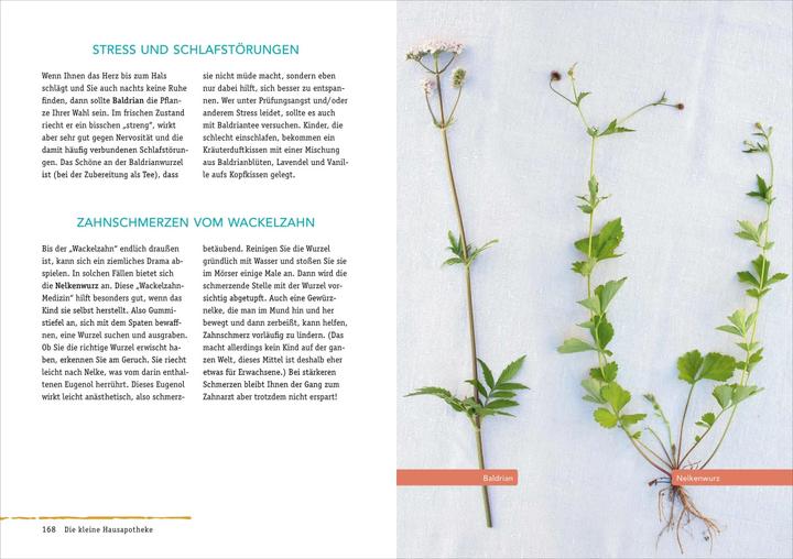 Actual product image Sauerteig & Wadenwickel (German, Daniela Wattenbach, 2020)