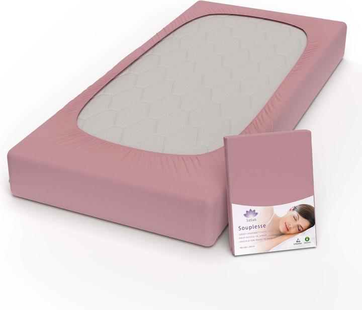 Actual product image Lotus Bettwaren Jersey fitted sheet Souplesse (180 x 200 cm)