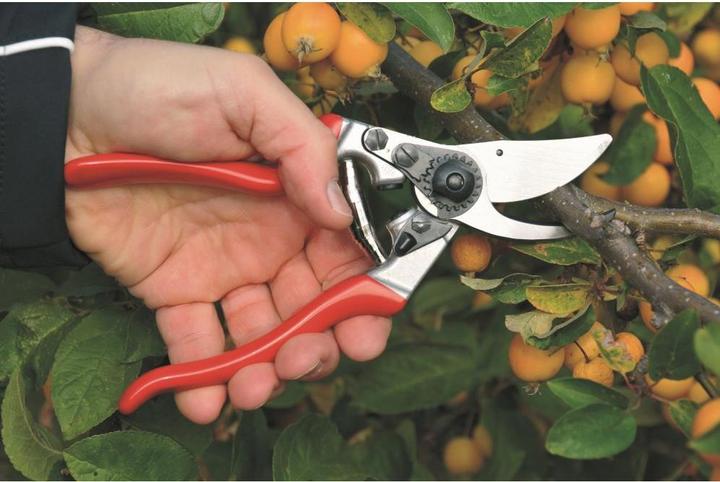 Actual product image Felco 9