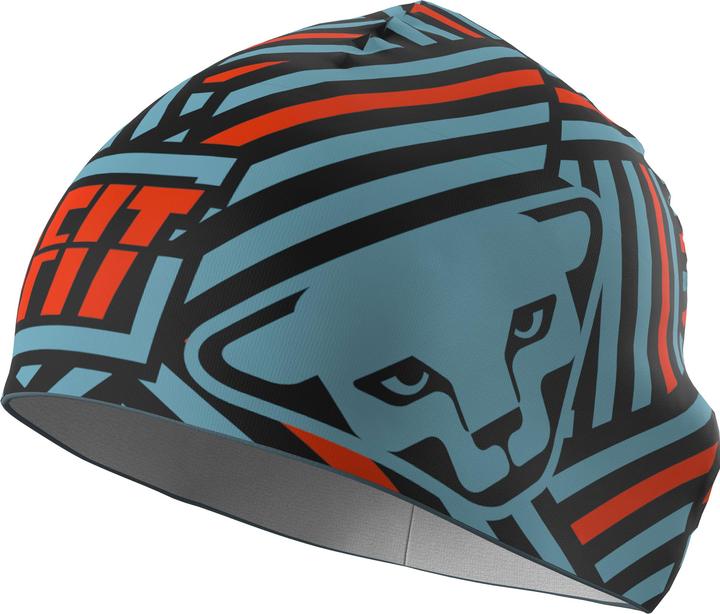 Produktbild Dynafit Performance Beanie (58)