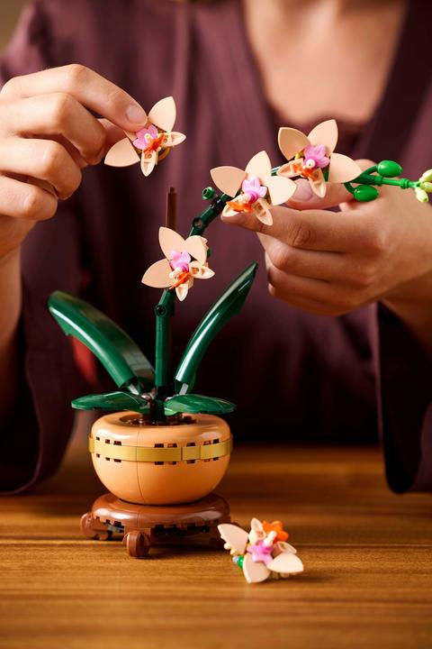 Produktbild LEGO Mini-Orchidee (10343, LEGO Botanical)