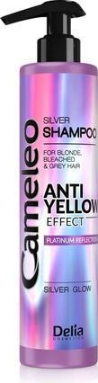 Delia Cosmetics Cameleo Silver (250 ml)