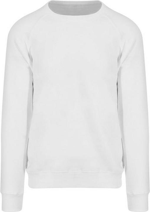 Awdis Graduate Sweatshirt