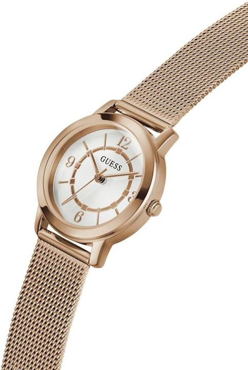 Produktbild Guess Watches LADIES GW0666L3