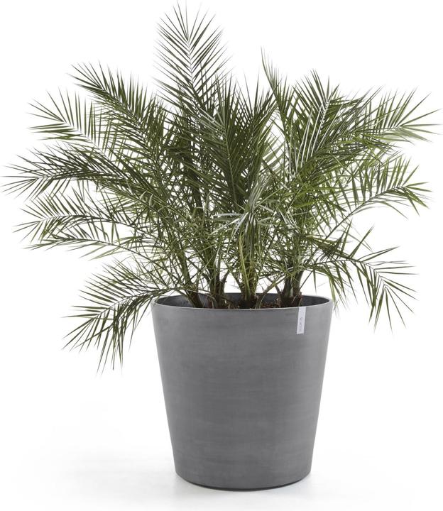 Image du produit Ecopots Amsterdam Wheels