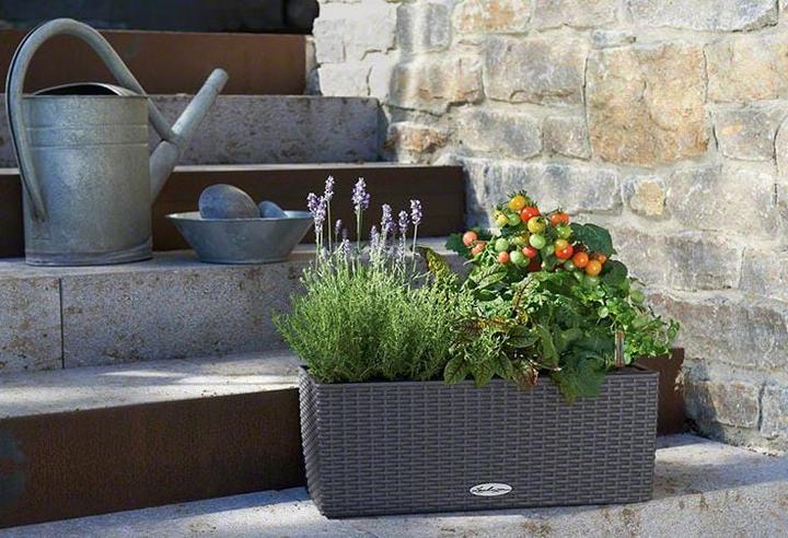 Actual product image Lechuza Balconera Cottage (19 cm)