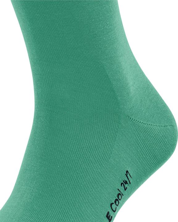 Image du produit Falke Cool 24/7 Men (43 - 44)