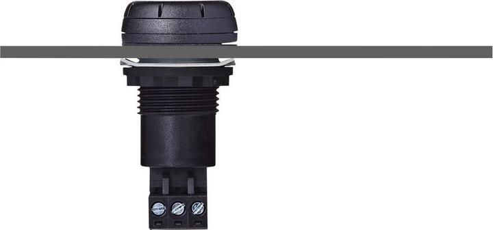 Produktbild Auer Signal Elektronischer Einbausummer