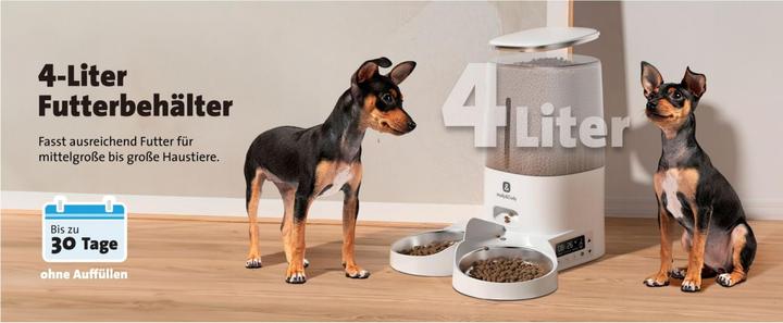Produktbild Molly&Cody LUCKY automatischer Futterspender für Haustiere (4 l)