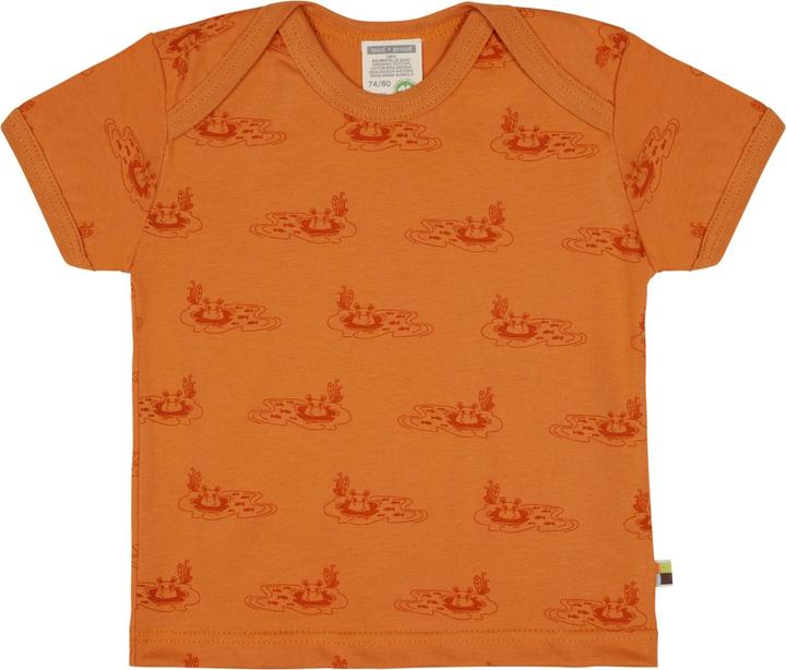 Carota