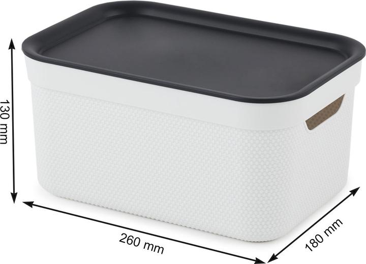 Image du produit Rotho Jive (26 x 18 x 13 cm, 5 l)