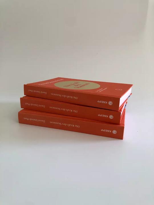 Image du produit Die Kraft des Staunens (Allemand, David Steindl-Rast, 2022)