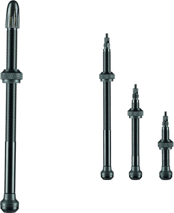 Actual product image Schwalbe tubeless valve