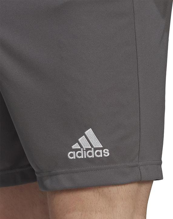 Actual product image adidas Entrada 22 Shorts Men (XS)
