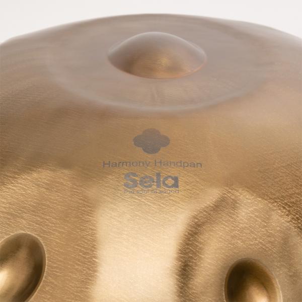 Produktbild Sela SE207 Harmony Handpan C# Kurd Stainless Steel (Handpan)