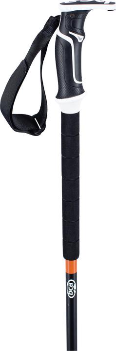 Actual product image BCA Scepter