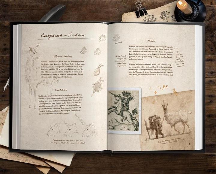Immagine prodotto Fast verschwundene Fabelwesen. Die sagenhafte Expedition des Konstantin O. Boldt (Tedesco, Florian Schäfer, 2023)