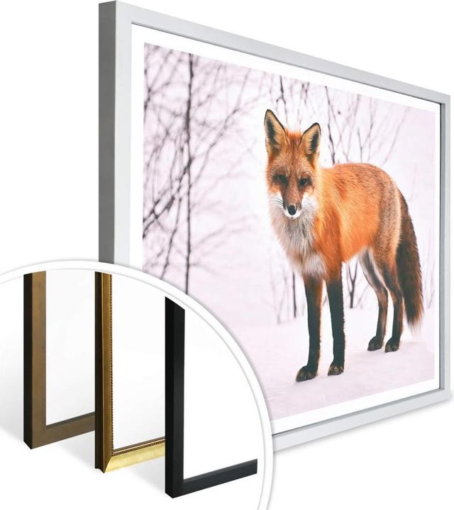 Immagine prodotto Trenddeko Volpe nella neve - 2 pezzi (80 x 60 cm)