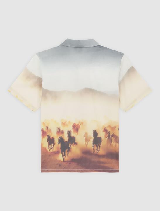 Actual product image Dickies Running Wild Shirt SS (S)