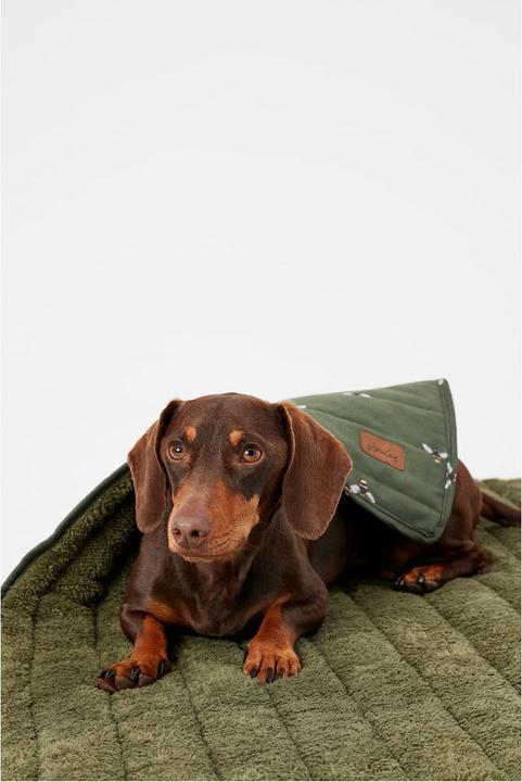 Actual product image Joules Dog blanket bee