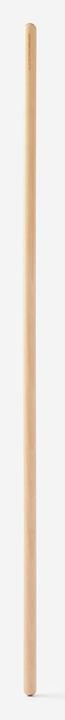 Actual product image Domyos Gym Stick (120 cm)
